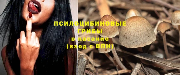 ешки Мегион