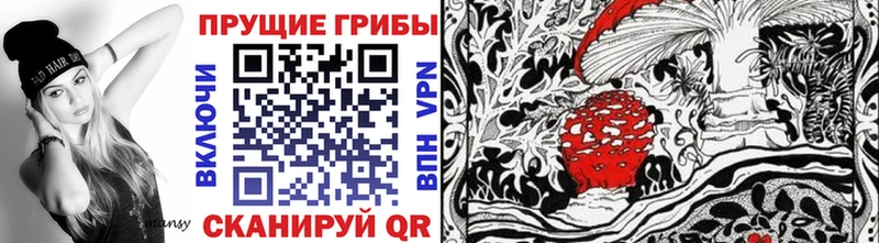 Галлюциногенные грибы Psilocybe  Тотьма 
