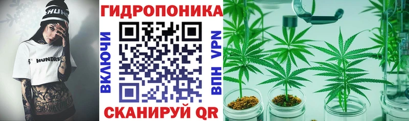 Каннабис VHQ наркотики гидра как зайти Тотьма